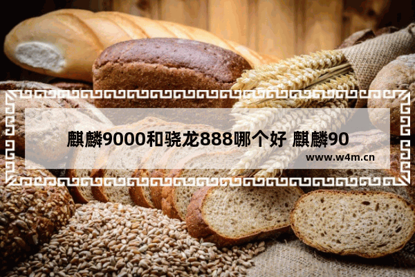 麒麟9000和骁龙888哪个好 麒麟9000、骁龙888性能PK