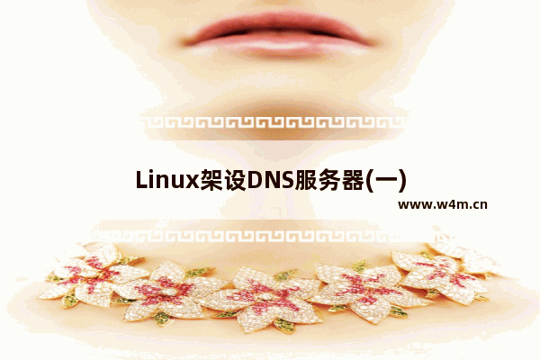 Linux架设DNS服务器(一)