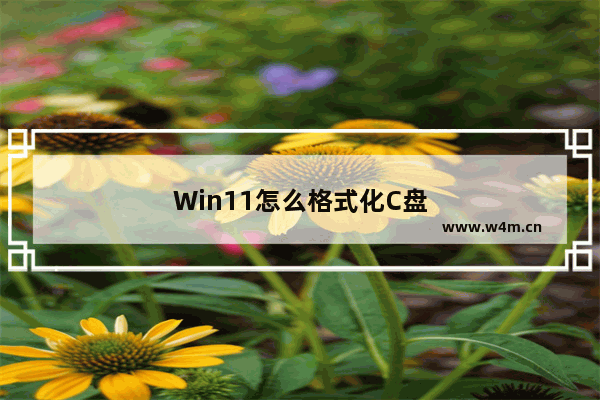 Win11怎么格式化C盘