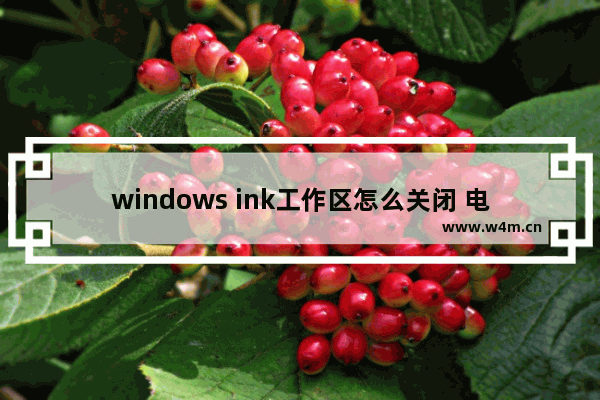 windows ink工作区怎么关闭 电脑快速关闭windows ink的方法