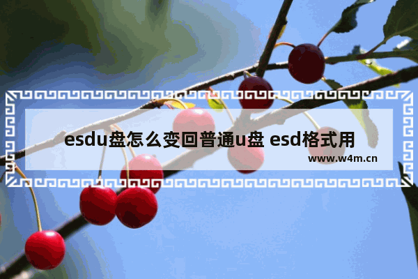 esdu盘怎么变回普通u盘 esd格式用u盘装