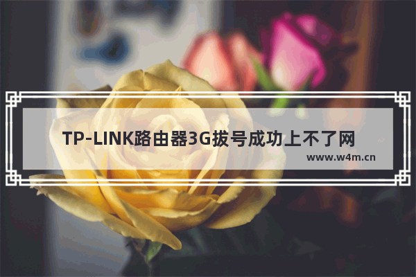 TP-LINK路由器3G拔号成功上不了网怎么办【解决方法】