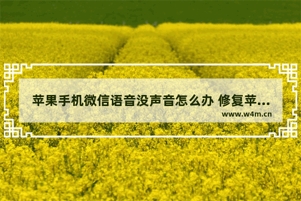 苹果手机微信语音没声音怎么办 修复苹果手机微信没声音的方法