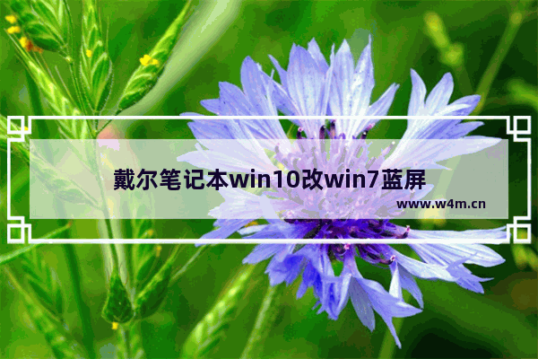 戴尔笔记本win10改win7蓝屏