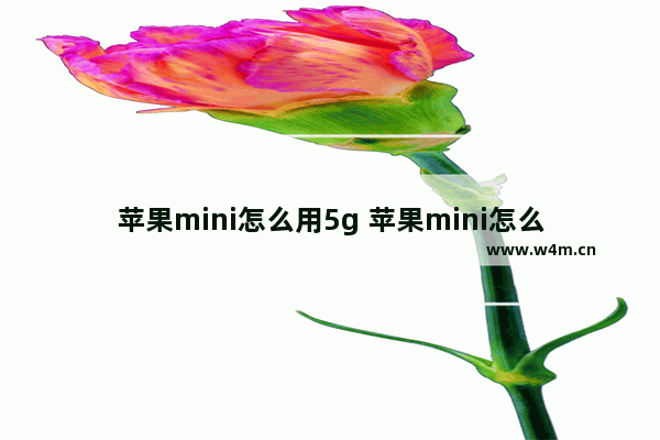 苹果mini怎么用5g 苹果mini怎么用电脑更新