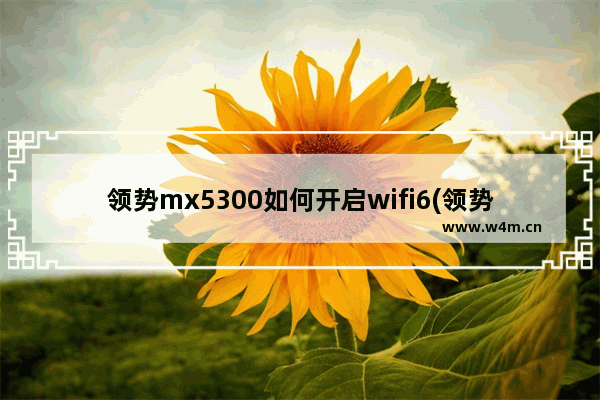 领势mx5300如何开启wifi6(领势路由器mx10600)