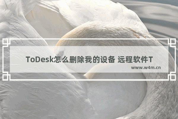 ToDesk怎么删除我的设备 远程软件ToDesk怎么删除设备