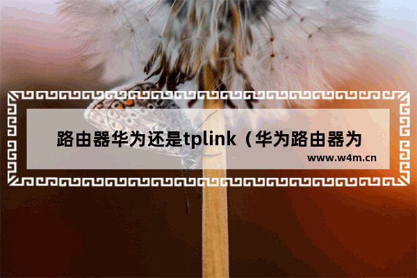 路由器华为还是tplink（华为路由器为何争议那么大）