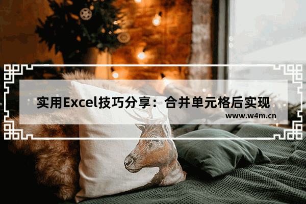 实用Excel技巧分享：合并单元格后实现筛选功能-