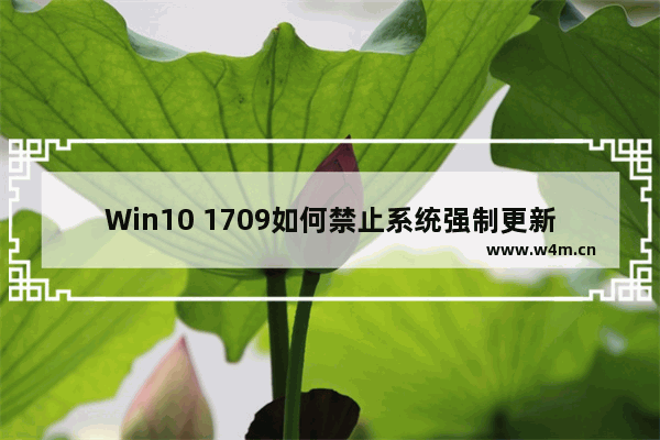 Win10 1709如何禁止系统强制更新驱动程序