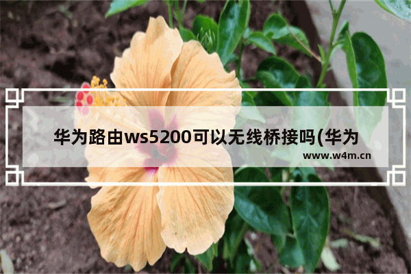 华为路由ws5200可以无线桥接吗(华为ws6500路由器安装教程)