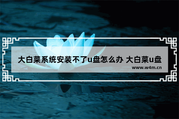 大白菜系统安装不了u盘怎么办 大白菜u盘装系统不成功