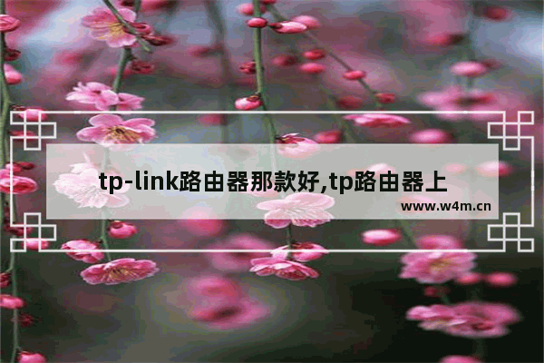 tp-link路由器那款好,tp路由器上网方式怎么选