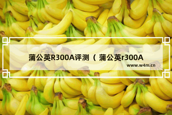 蒲公英R300A评测（ 蒲公英r300A怎么用）