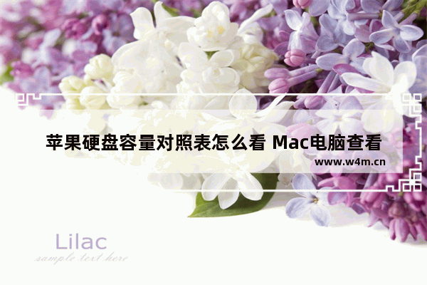 苹果硬盘容量对照表怎么看 Mac电脑查看磁盘的容量方法