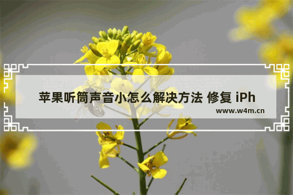 苹果听筒声音小怎么解决方法 修复 iPhone 声音太小的解决方法