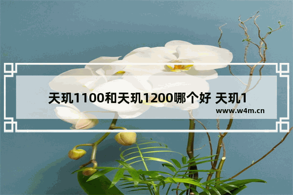 天玑1100和天玑1200哪个好 天玑1100和天玑1200区别对比