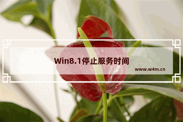 Win8.1停止服务时间