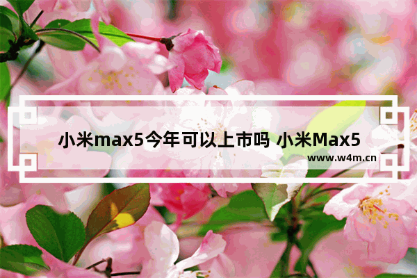 小米max5今年可以上市吗 小米Max5二次发售详情