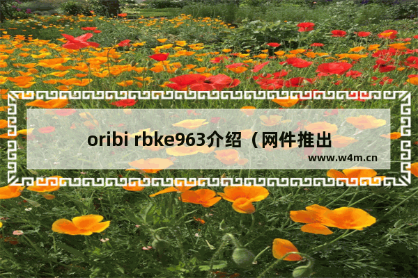 oribi rbke963介绍（网件推出一款全新WiFi 6E路由器）