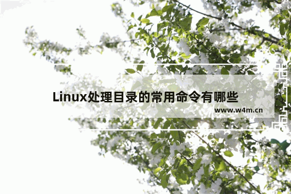 Linux处理目录的常用命令有哪些