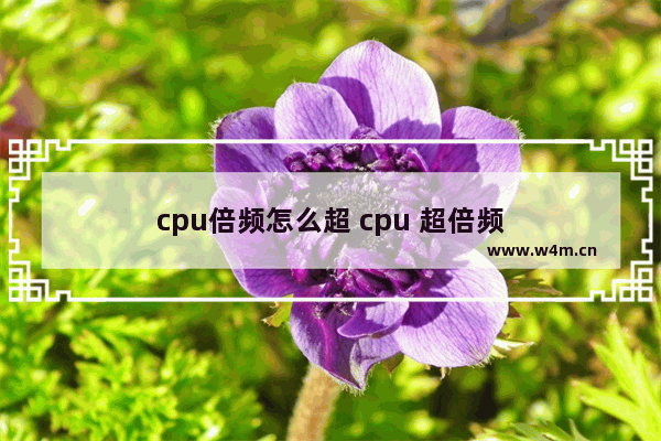 cpu倍频怎么超 cpu 超倍频