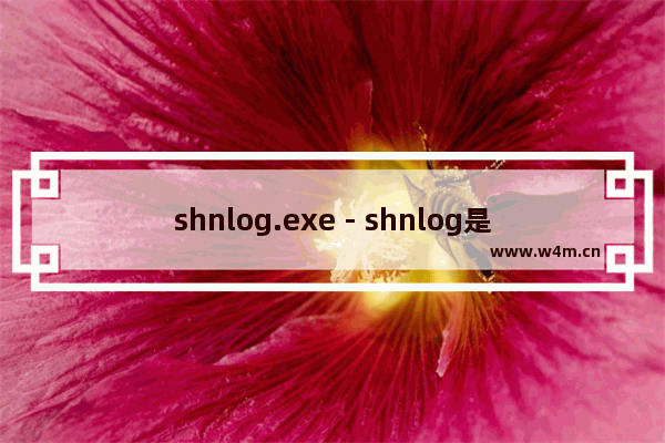 shnlog.exe - shnlog是什么进程 有什么用