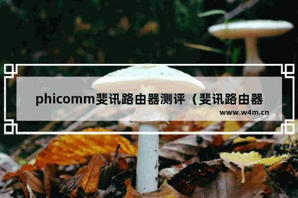 phicomm斐讯路由器测评（斐讯路由器停止服务了吗）