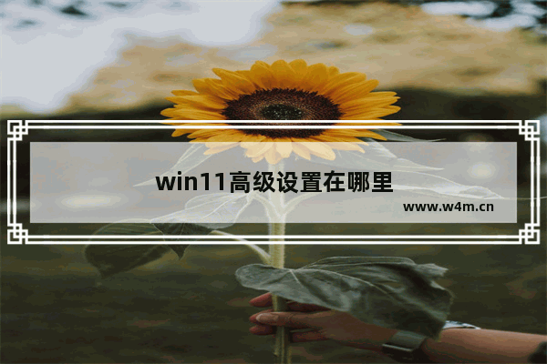 win11高级设置在哪里