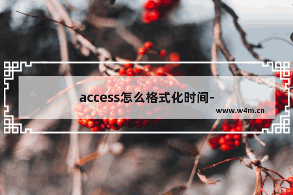 access怎么格式化时间-