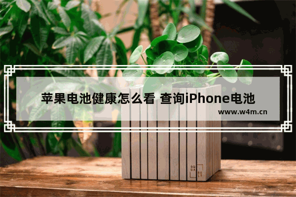 苹果电池健康怎么看 查询iPhone电池健康的方法