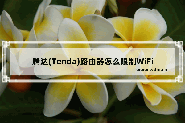 腾达(Tenda)路由器怎么限制WiFi网速