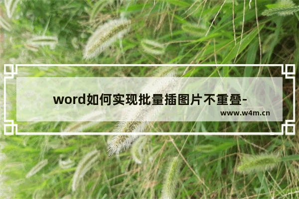 word如何实现批量插图片不重叠-