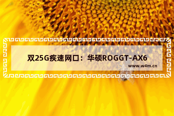 双25G疾速网口：华硕ROGGT-AX6000红蜘蛛电竞路由评测