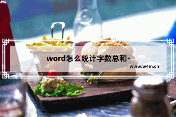 word怎么统计字数总和-