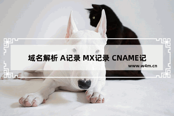 域名解析 A记录 MX记录 CNAME记录 TTL