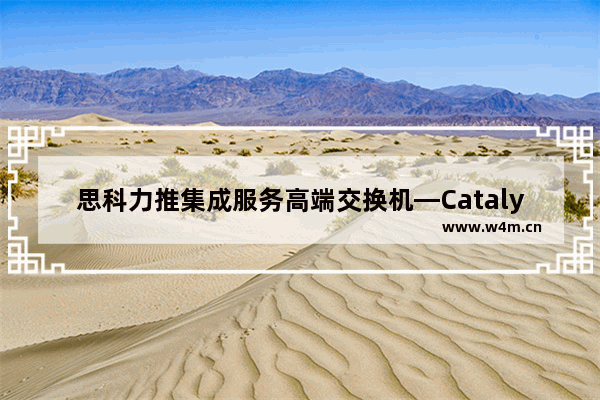 思科力推集成服务高端交换机—Catalyst 6503