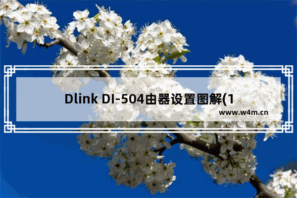 Dlink DI-504由器设置图解(1