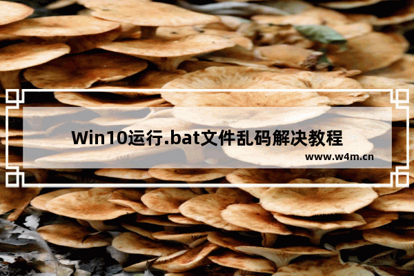 Win10运行.bat文件乱码解决教程