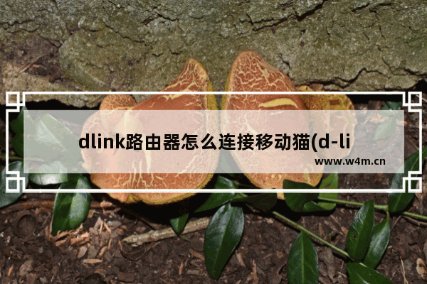 dlink路由器怎么连接移动猫(d-link路由器怎么无线桥接)