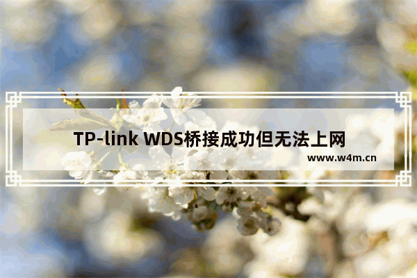 TP-link WDS桥接成功但无法上网怎么办