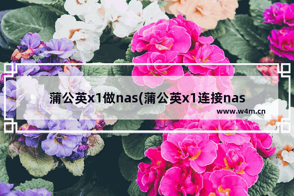 蒲公英x1做nas(蒲公英x1连接nas)