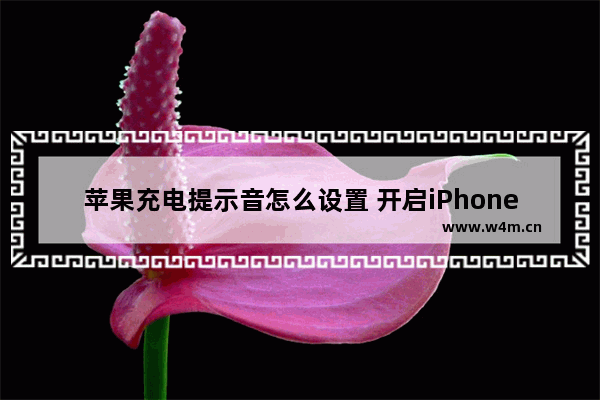 苹果充电提示音怎么设置 开启iPhone手机“电量不足语音提醒”功能方法