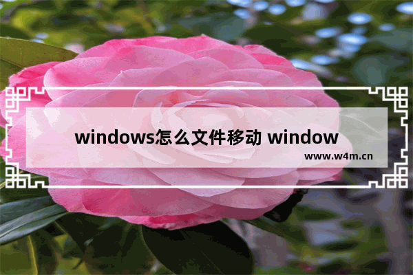 windows怎么文件移动 window文件如何移动