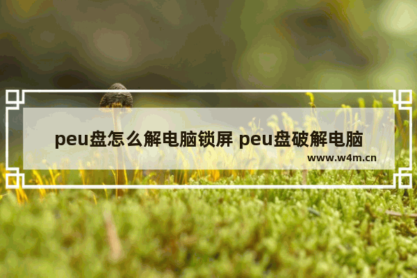 peu盘怎么解电脑锁屏 peu盘破解电脑密码