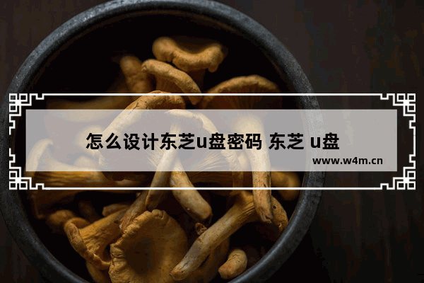 怎么设计东芝u盘密码 东芝 u盘