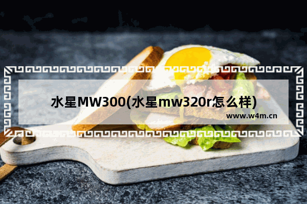 水星MW300(水星mw320r怎么样)