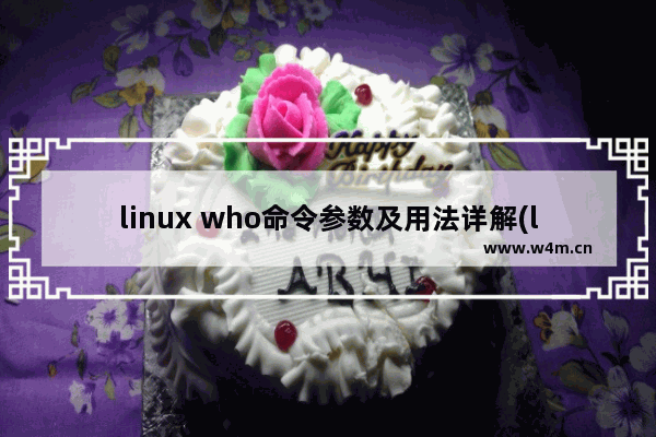 linux who命令参数及用法详解(linux查看在线用户命令)