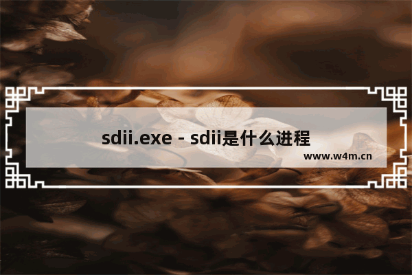 sdii.exe - sdii是什么进程 有什么用