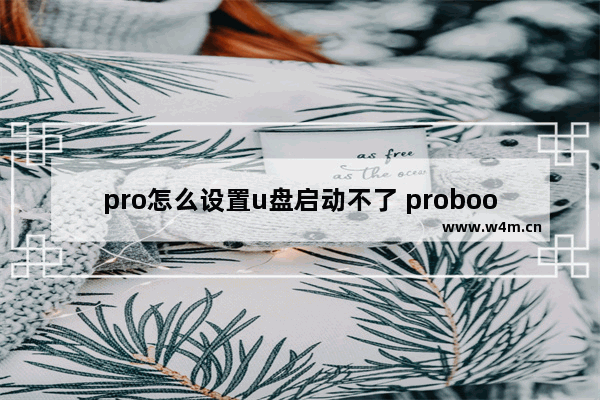 pro怎么设置u盘启动不了 probook怎么设置u盘启动